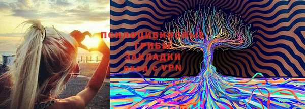 меф Горно-Алтайск
