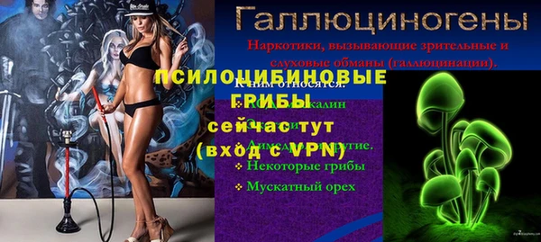 СК Горняк