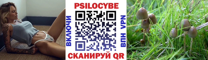 Псилоцибиновые грибы Magic Shrooms  Ермолино 